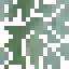 Teak Leaves icon