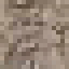 Teak Wood icon