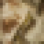 Walnut Wood icon
