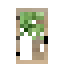 Western Hemlock Door icon