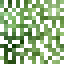 Western Hemlock Leaves icon