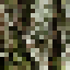 Western Hemlock Wood icon