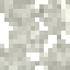 White Poplar Leaves icon