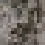 White Poplar Wood icon