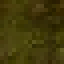 Yellow Meranti Log icon