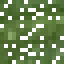 Yew Leaves icon