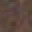 Zebrano Stripped Log icon
