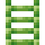Chartreuse Locometal End Ladder icon