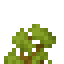 Acacia Shrub icon