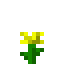 Alpha Dandelion icon