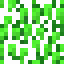 Alpha Leaves icon