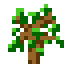 Alpha Sapling icon