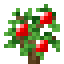 Apple Oak Sapling icon