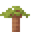 Baobab Sapling icon