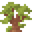 Baobab Shrub icon