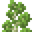 Birch Shrub icon