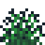 Black Snowbelle icon