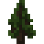 Blackwood Sapling icon