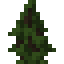 Blackwood Shrub icon