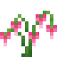 Bleeding Heart icon