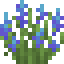 Blue Lupine icon