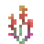 Cave Hyssop icon