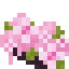 Cherry Shrub icon