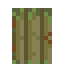 Cypress Door icon