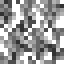 Cypress Leaves icon