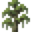 Cypress Sapling icon