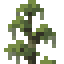 Cypress Shrub icon