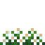 Daisy icon