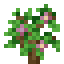 Flowering Sapling icon