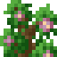 Flowering Shrub icon
