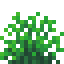 Green Snowbelle icon