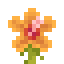Hibiscus icon