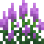 Hyssop icon
