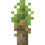 Joshua Sapling icon