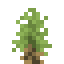 Joshua Shrub icon