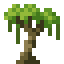 Kapok Sapling icon