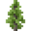 Larch Sapling icon