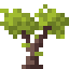 Magnolia Sapling icon