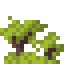 Magnolia Shrub icon