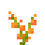 Mallow icon
