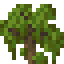 Mangrove Shrub icon