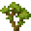 Maple Sapling icon