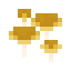 Mycotoxic Mushrooms icon