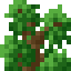 Oak Shrub icon