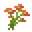 Orange Coneflower icon