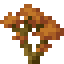 Orange Maple Sapling icon
